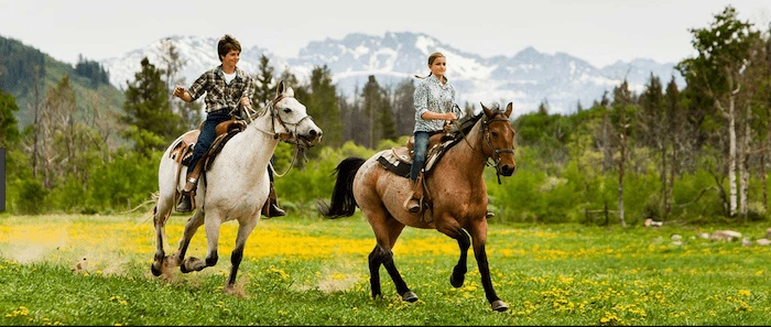 Confident plus-size woman riding Bridgwater a horse through a field with a smile on her face.
